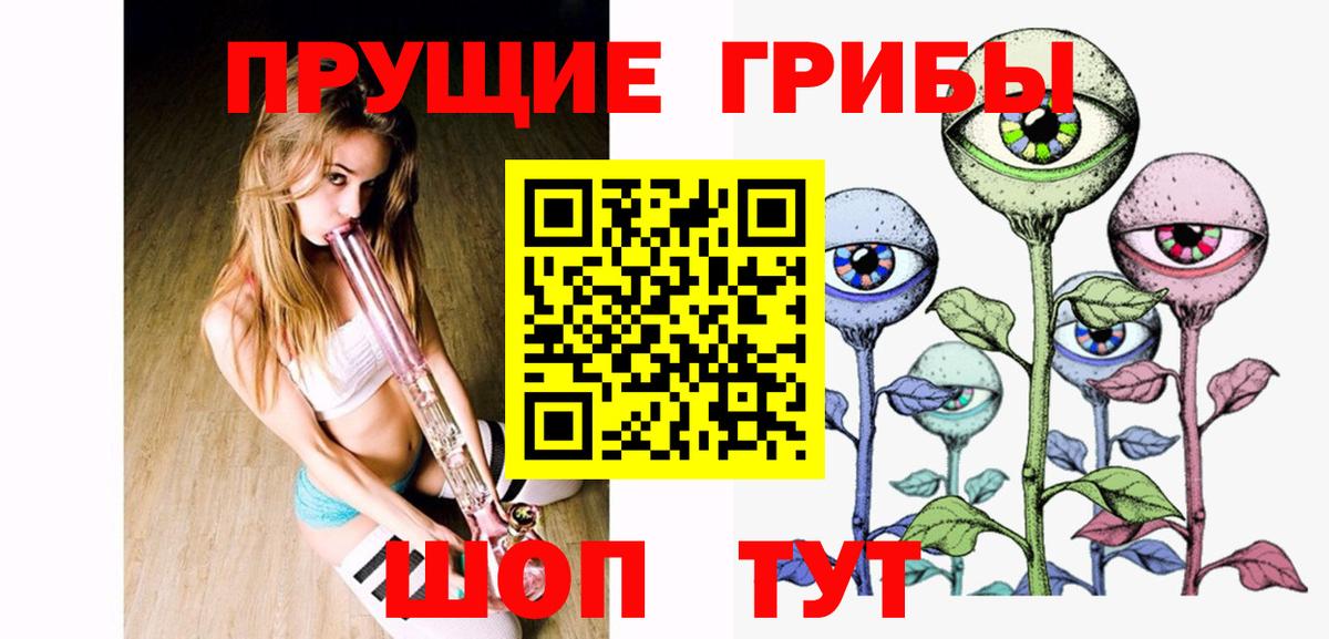 Северск  Псилоцибиновые грибы Magic Shrooms  как найти наркотики  Вход с VPN 