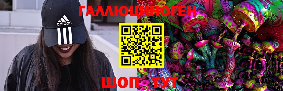 Галлюциногенные грибы ЛСД Северск